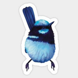 Superb Blue Fairy Wren. Gorgeous little bird showing off his beautiful blue plumage. Unique gift Sticker